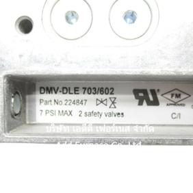 DMV-DLE 703/602
